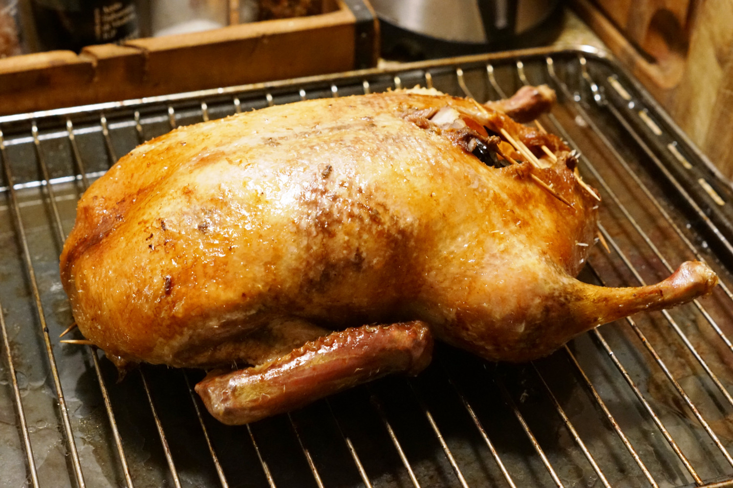 Langtidsstegt andesteg