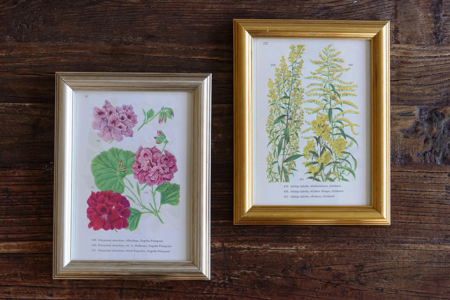 DIY: Små blomsterbilleder