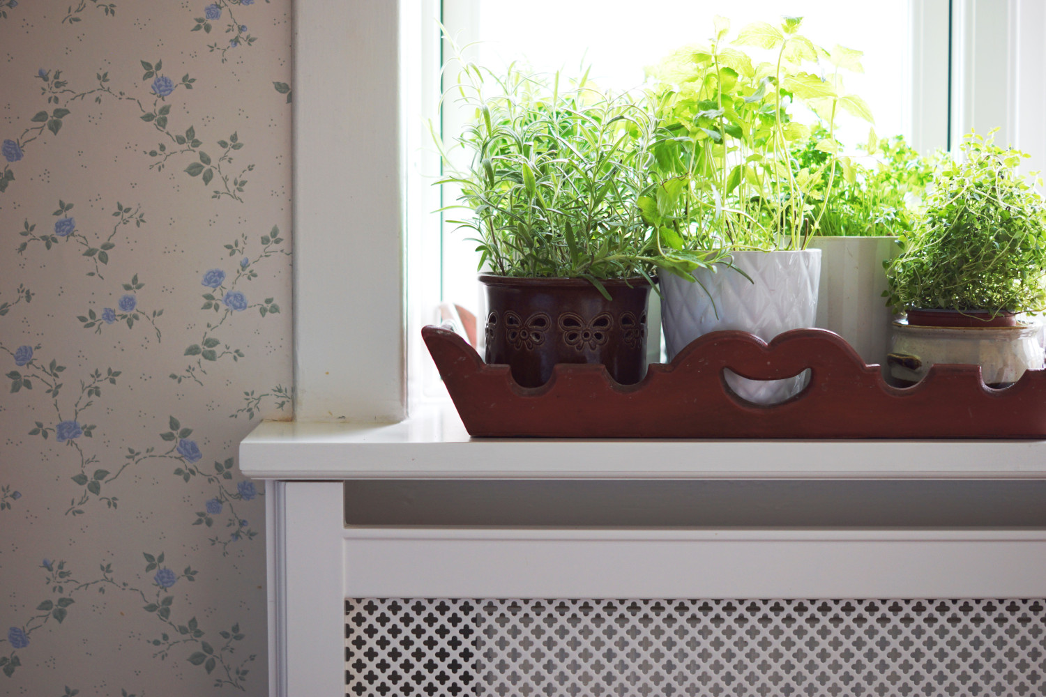 Køkken i landlig stil