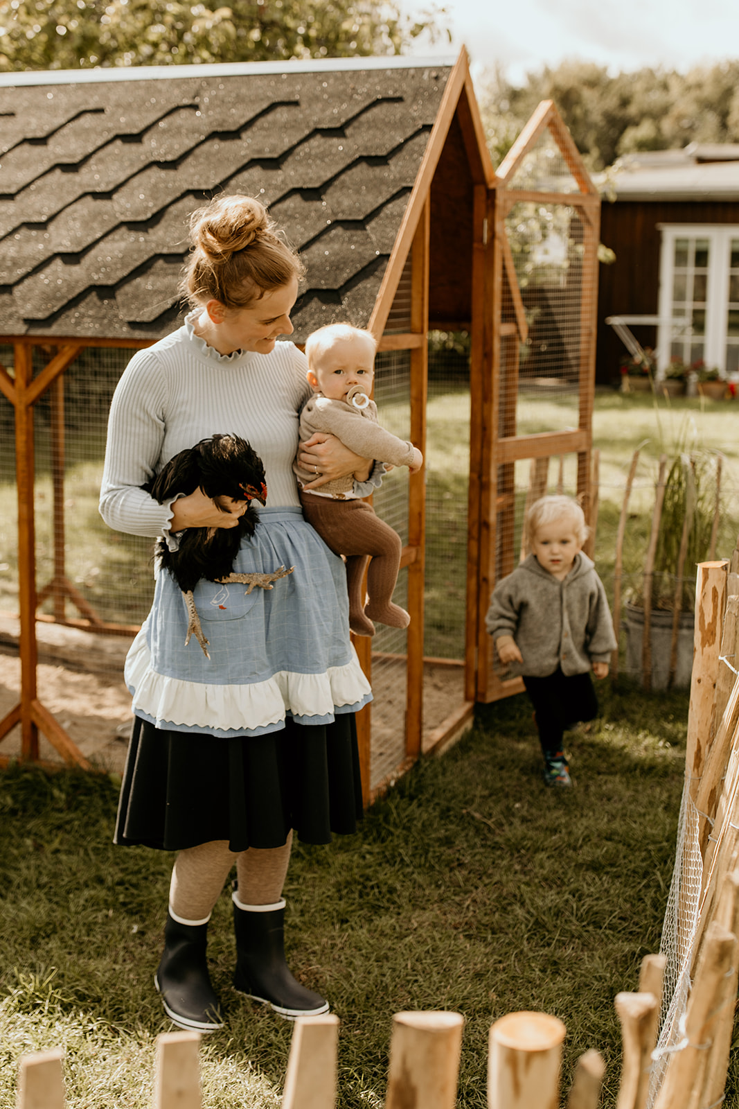 Overvejelser før vi fik høns – og hvad det kræver