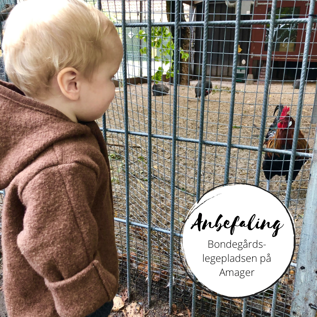 Anbefaling: Bondegårdslegepladsen (KBH)