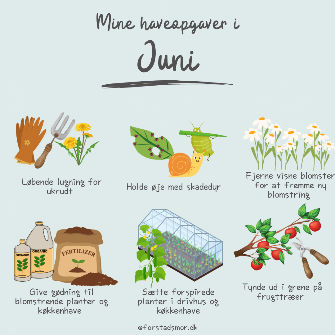 Havekalender: Juni