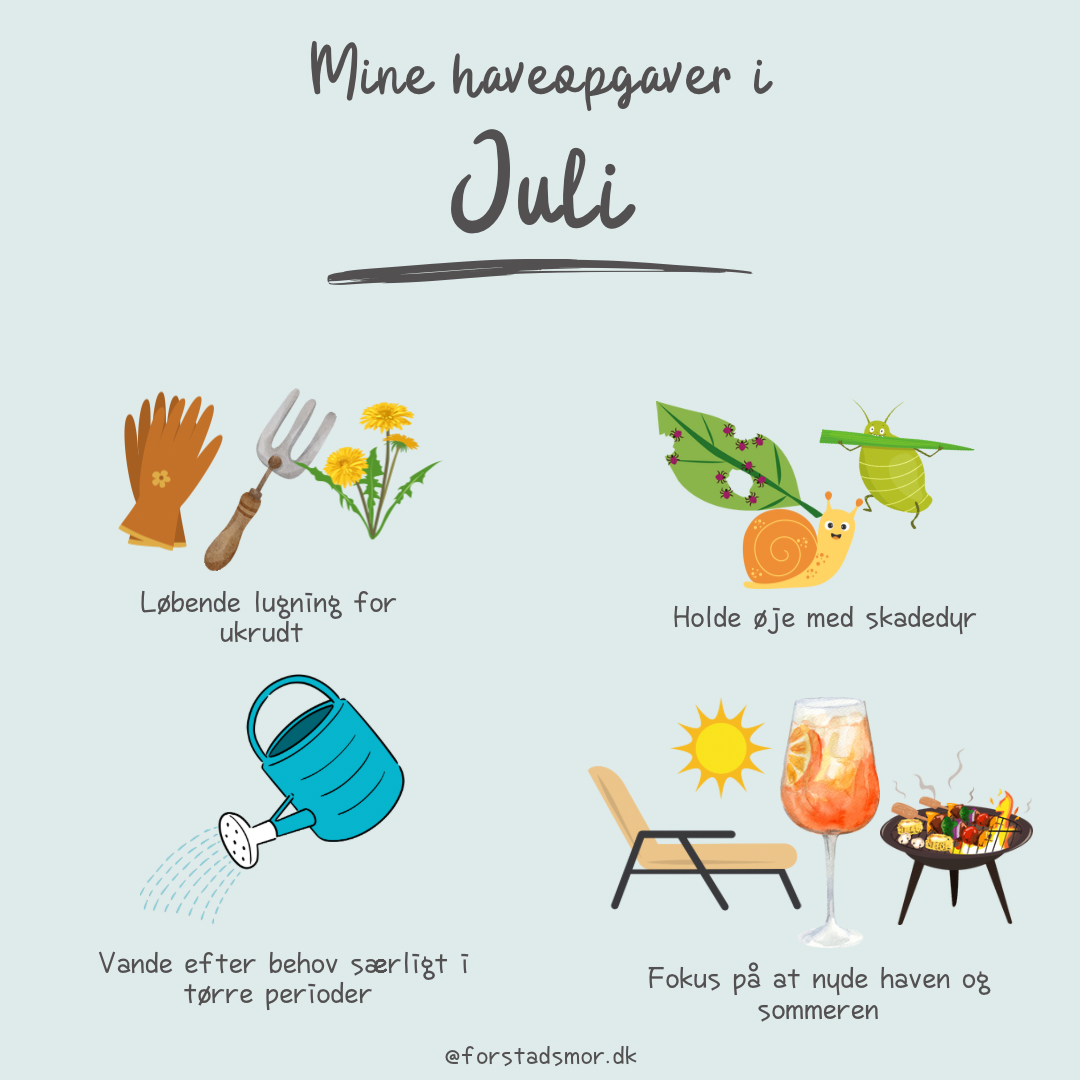 Havekalender: Juli