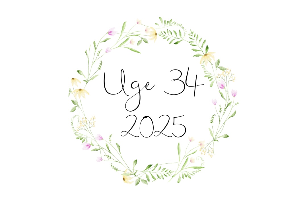 Scrapbogen: Uge 34 – 2025