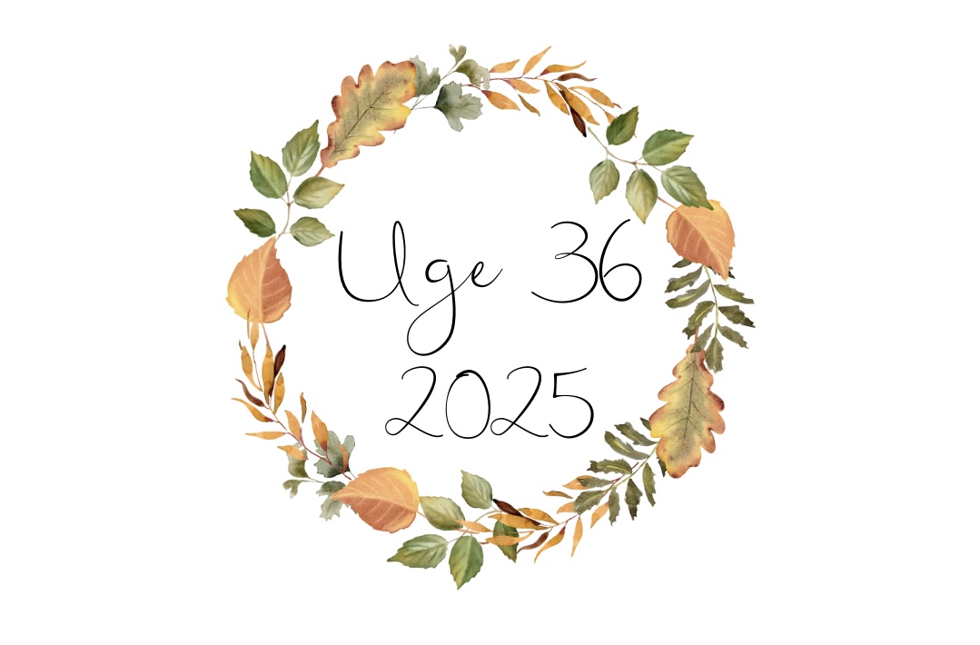 Scrapbogen: Uge 36 – 2025